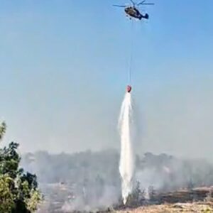 adanada orman yangini havadan ve karadan mudahale suruyor bAXlaNHl