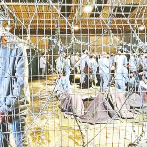 sde teimanda iskencenin her cesidi yapiliyor hOVG7Crx