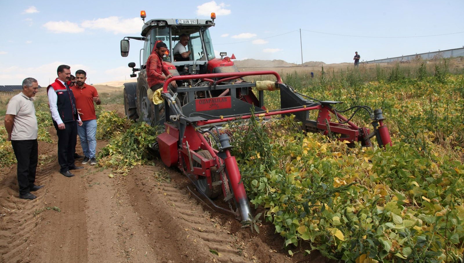 kuru fasulyenin hasadina baslandi QRyLezJY