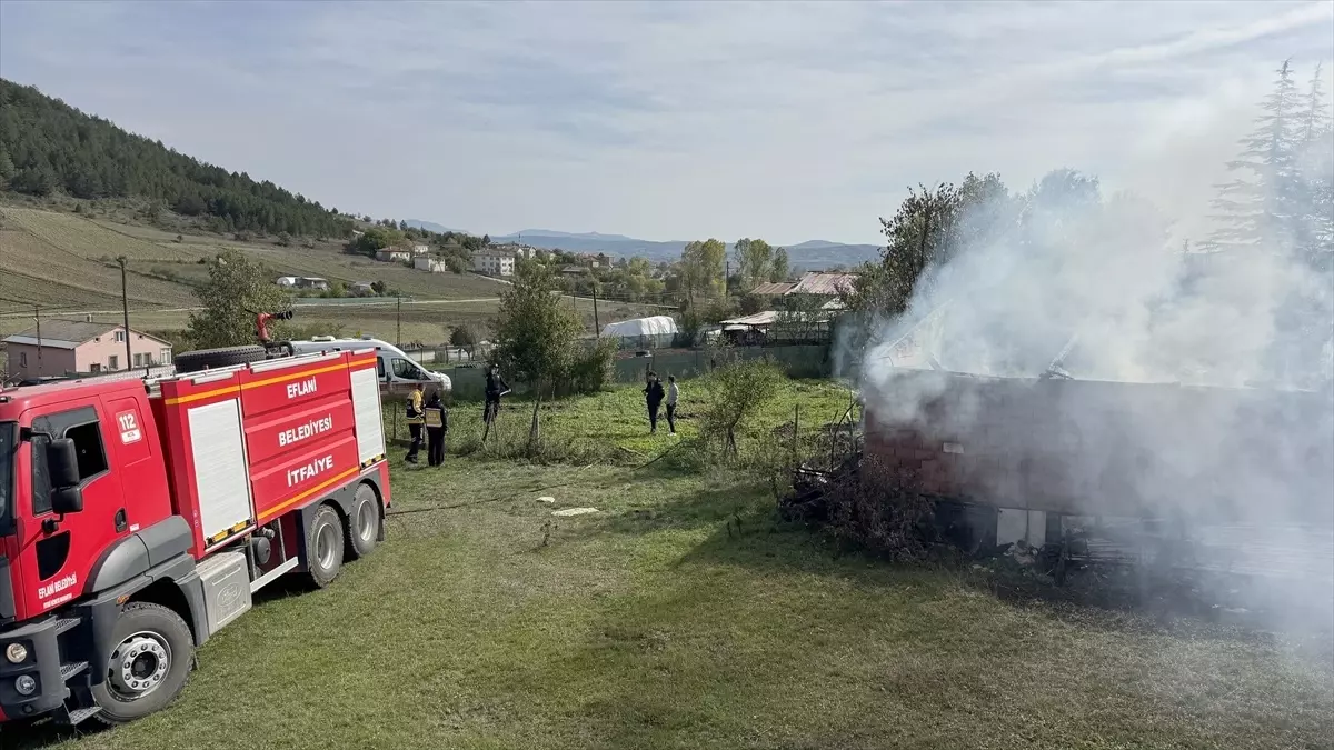 eflanide yangin 36 ari kovani zarar gordu PLCEADmB.jpg