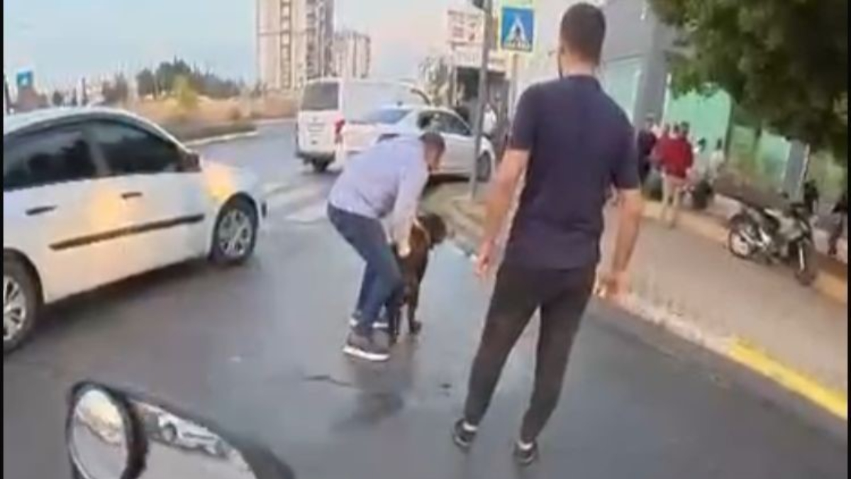 mersinde agizliksiz gezdirilen rottweiler bir kadina ve kuryeye saldirdi 9JyXPywI.jpg