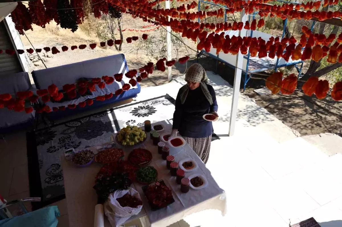 zeynep guvenin dogal recel basarisi bTCKUhAU