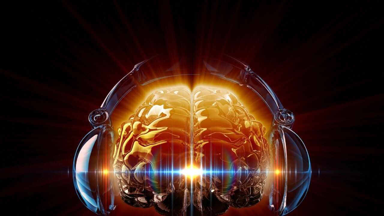 muzik dinlemek demanstan korur FFVqr4gV.webp