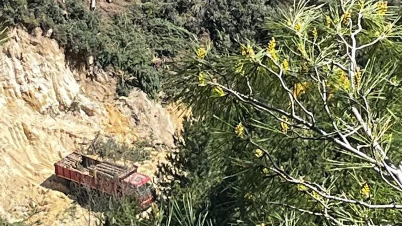 Tartışmalı Maden Projesinde Ağaç Kesimi Başladı